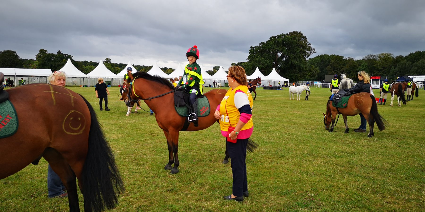 New Forest Ponies excel at Pony Club Endurance ...